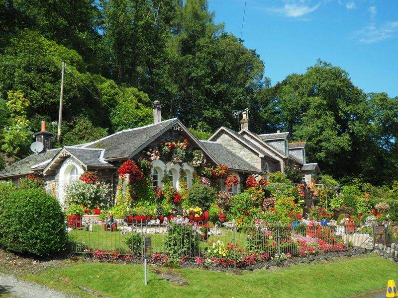 Rafraîchissement saisonnier du jardin pour un domaine résidentiel