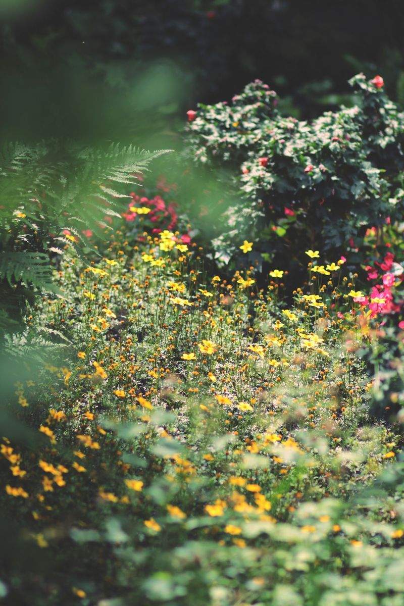 Jardins & Paysages de France 15