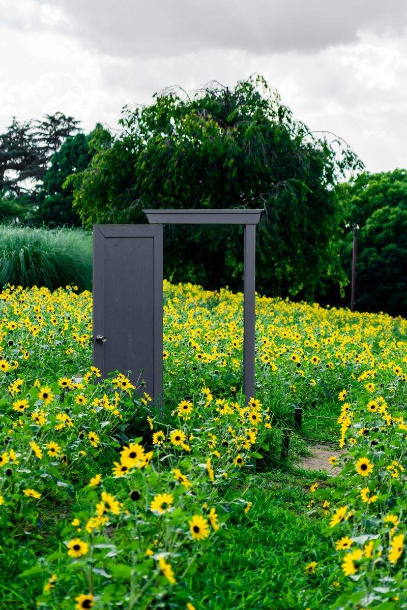 Jardins & Paysages de France 2